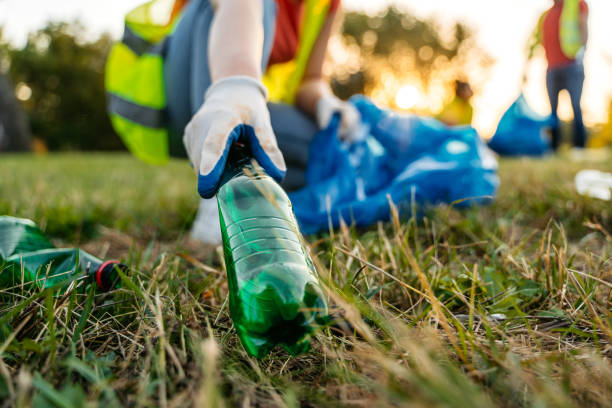 Best Estate Cleanout Services  in Green Forest, AR